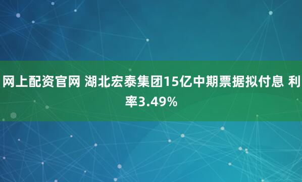 网上配资官网 湖北宏泰集团15亿中期票据拟付息 利率3.49%
