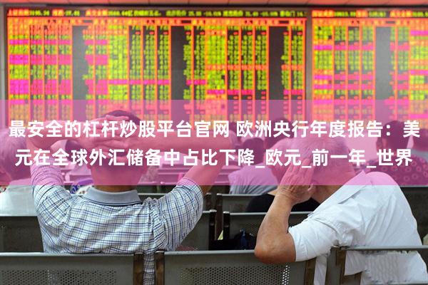 最安全的杠杆炒股平台官网 欧洲央行年度报告：美元在全球外汇储备中占比下降_欧元_前一年_世界