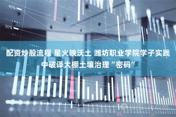 配资炒股流程 星火映沃土 潍坊职业学院学子实践中破译大棚土壤治理“密码”